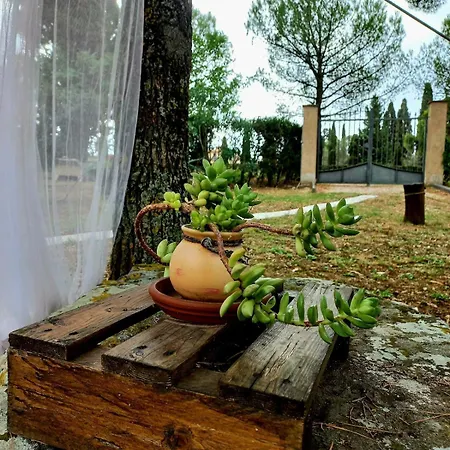 度假居 Casa Shanti *