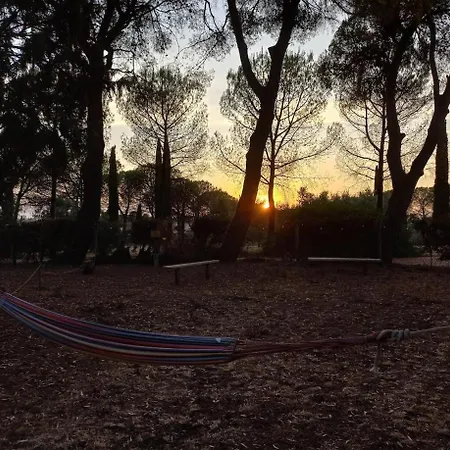 Prázdninový dům Casa Shanti