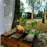 Дом отдыха Casa Shanti *